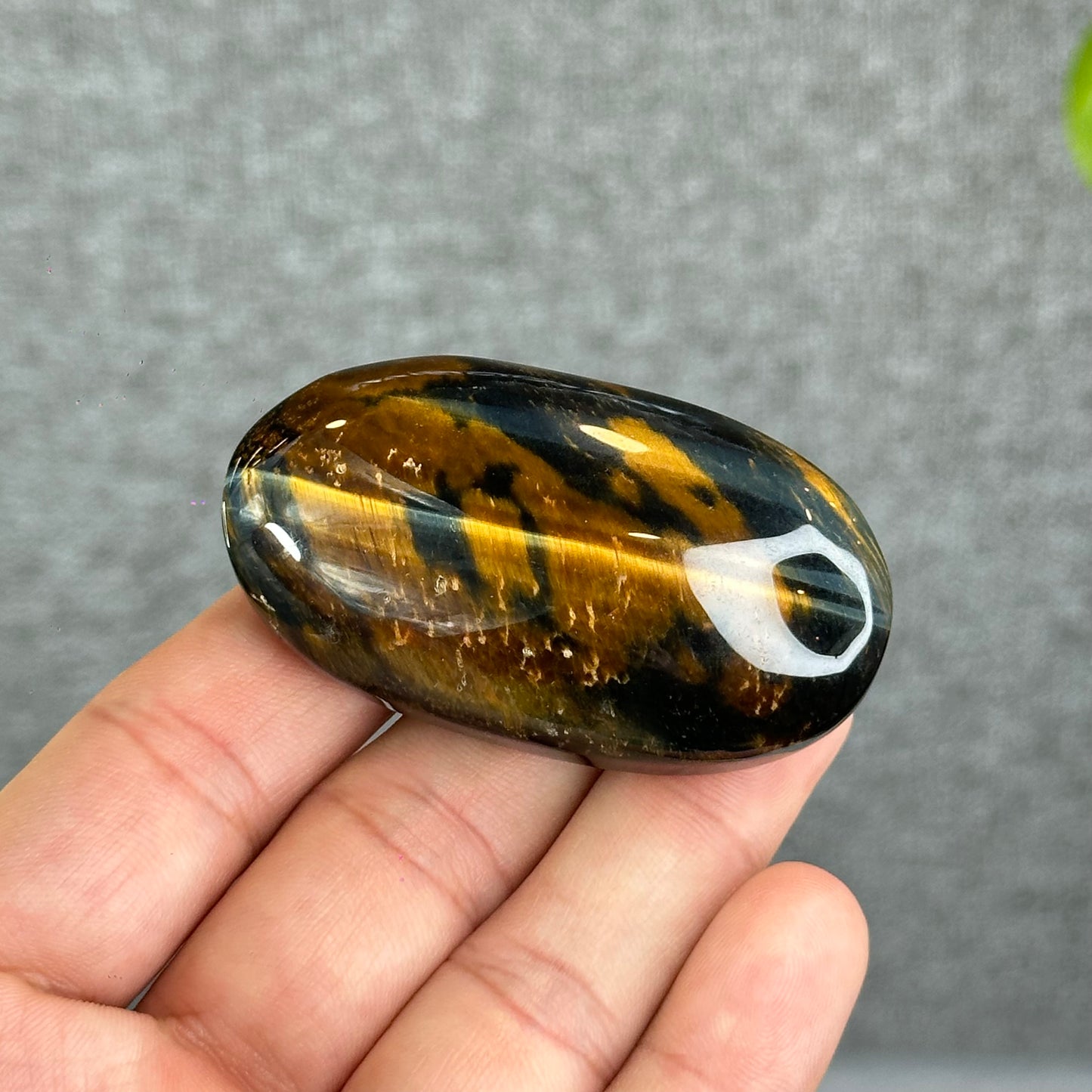Natural Eagle Eye Palm Stone