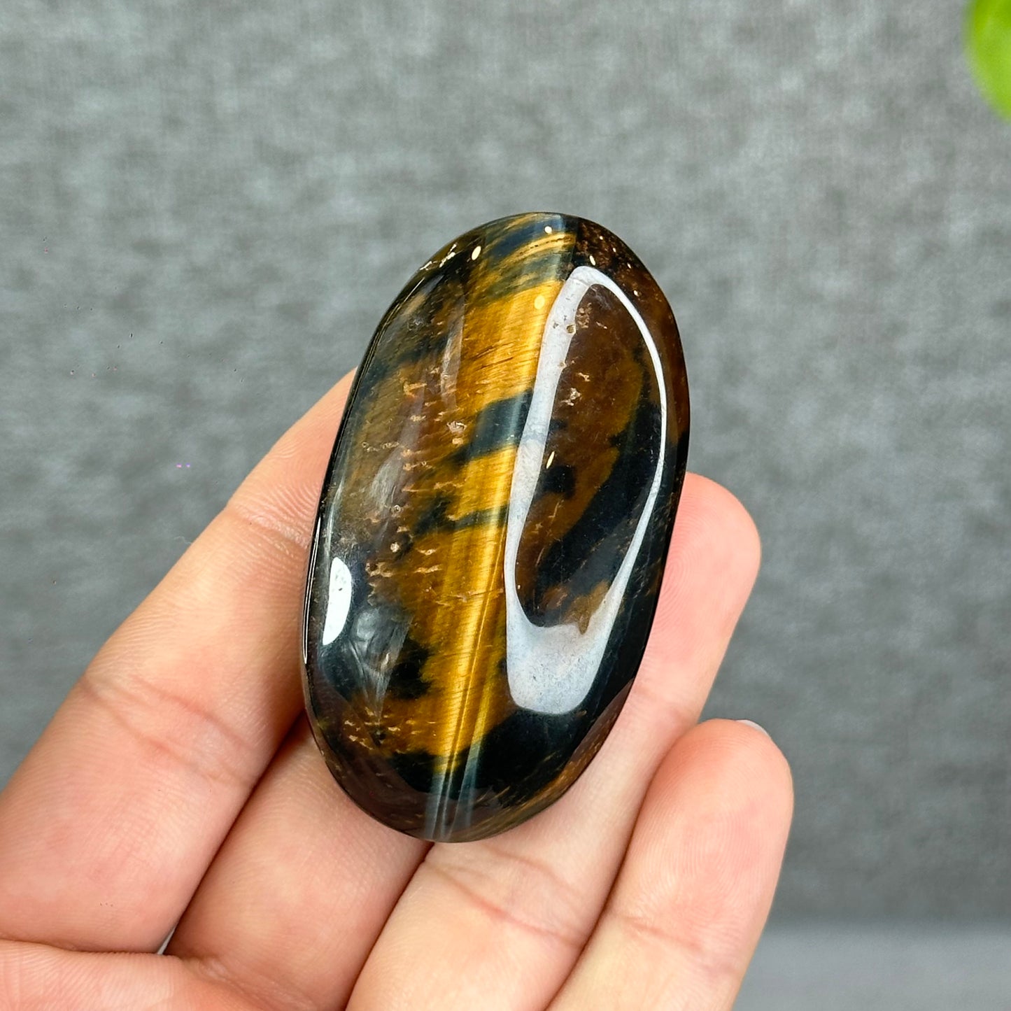 Natural Eagle Eye Palm Stone