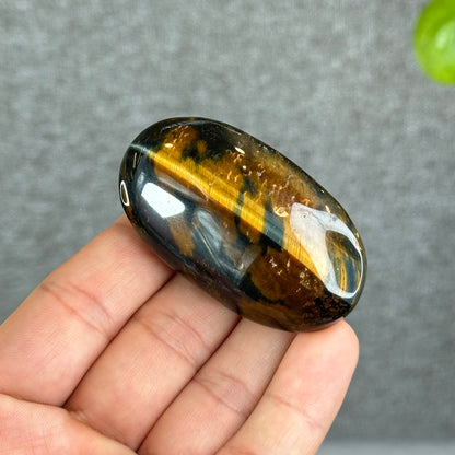 Natural Eagle Eye Palm Stone