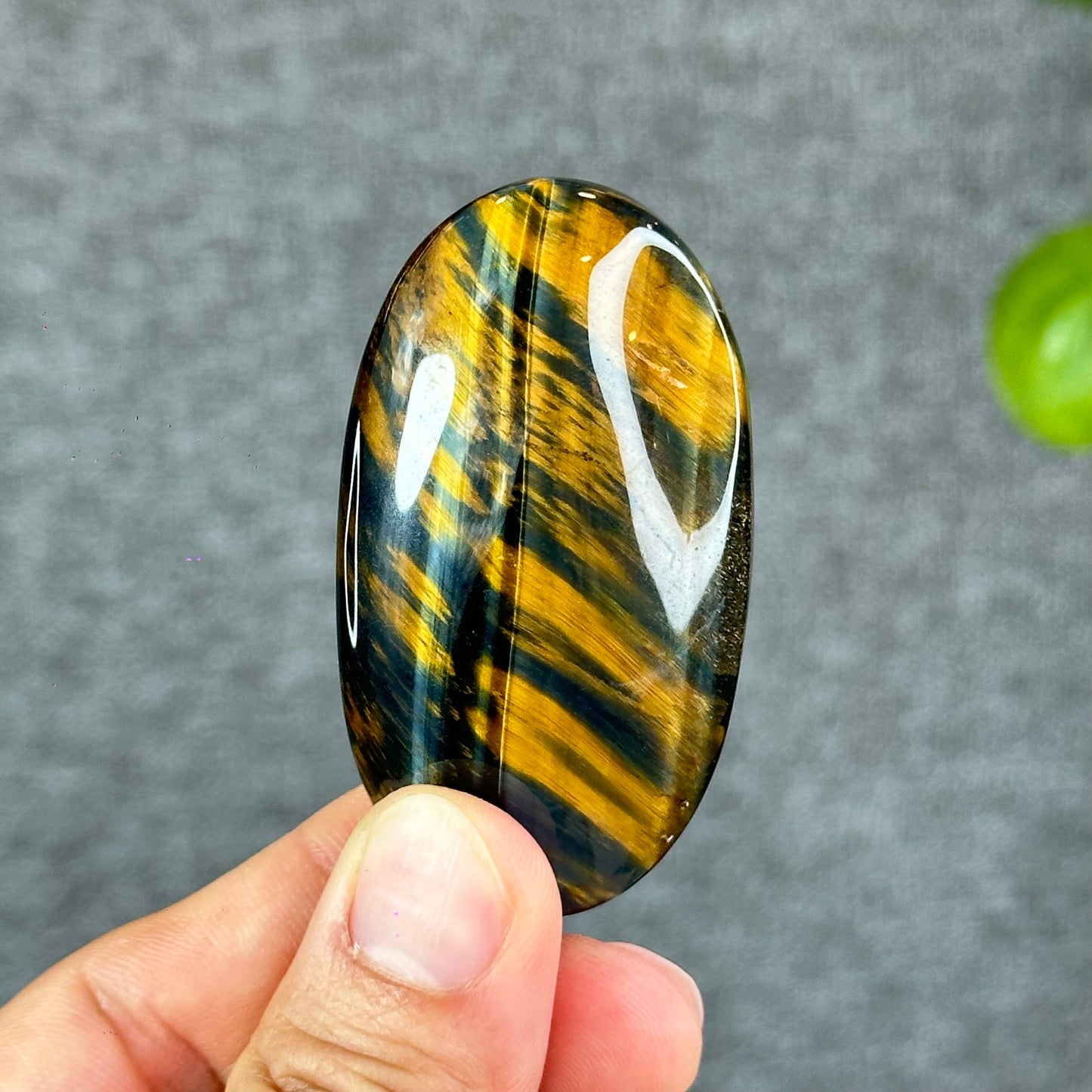 Natural Eagle Eye Palm Stone