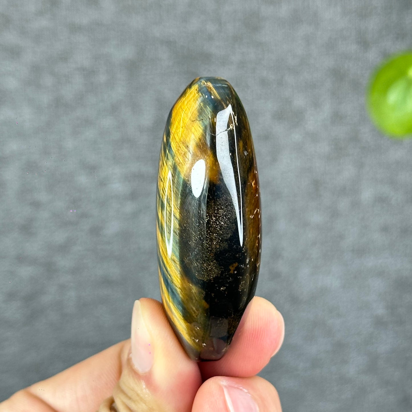 Natural Eagle Eye Palm Stone