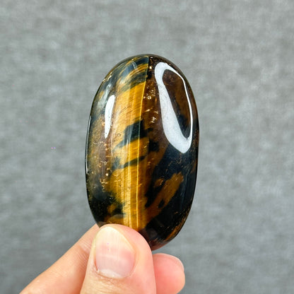 Natural Eagle Eye Palm Stone