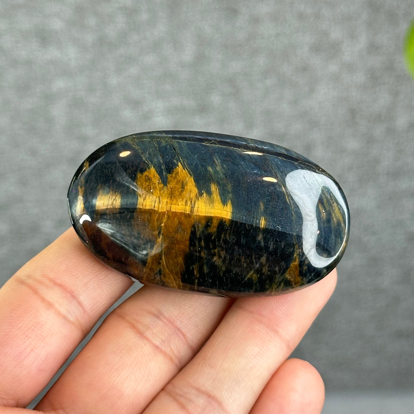 Natural Eagle Eye Palm Stone