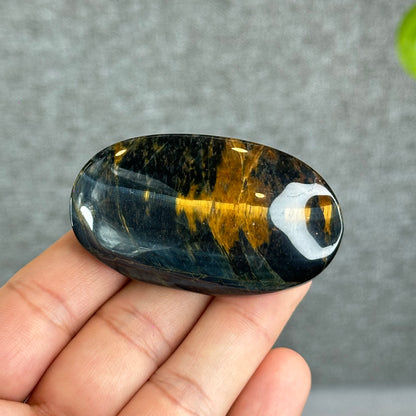 Natural Eagle Eye Palm Stone