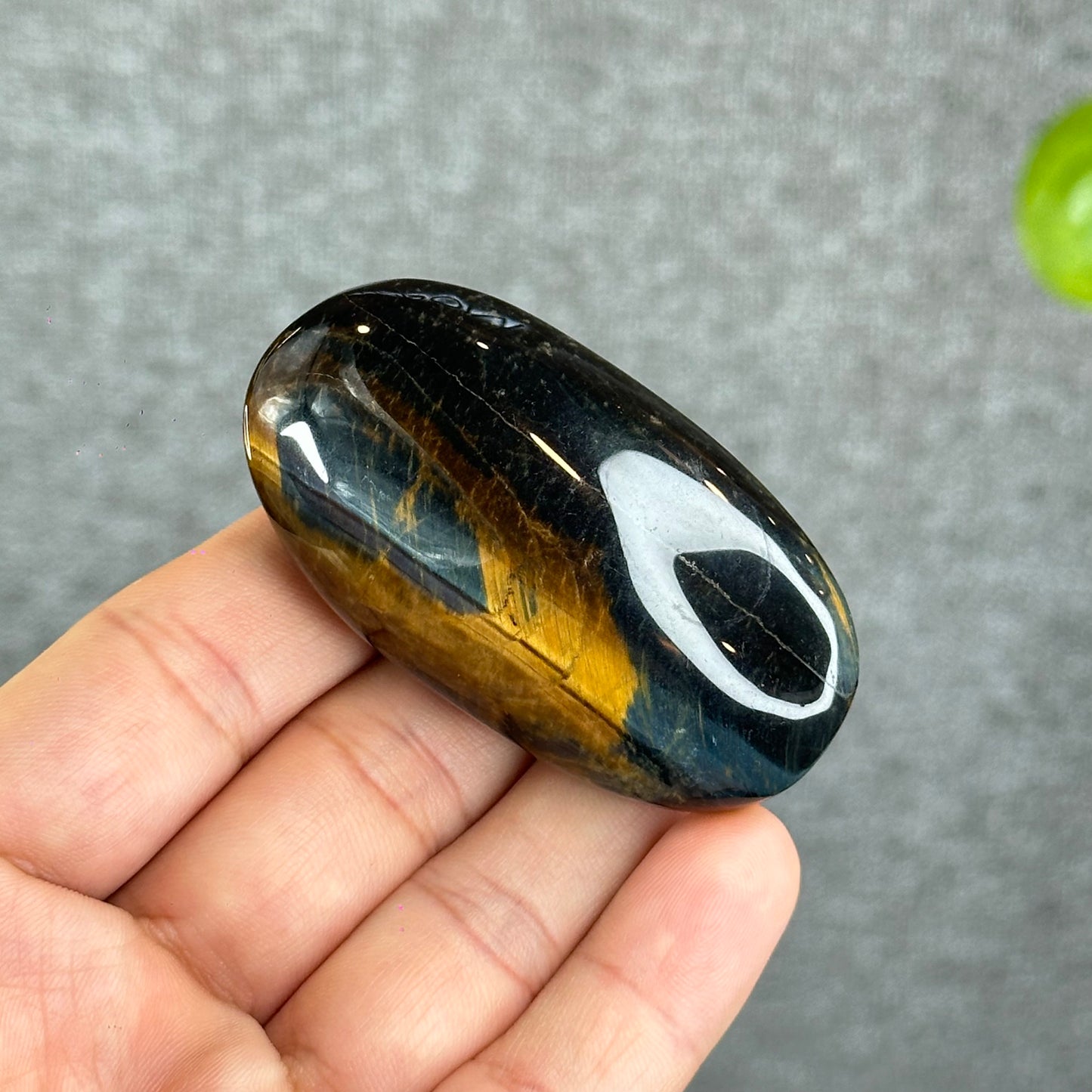 Natural Eagle Eye Palm Stone
