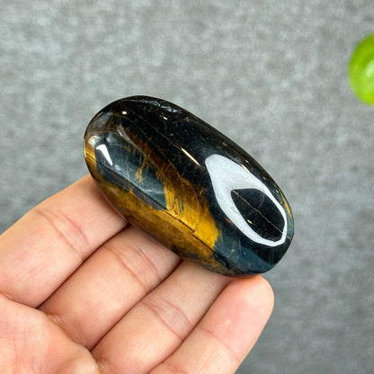 Natural Eagle Eye Palm Stone