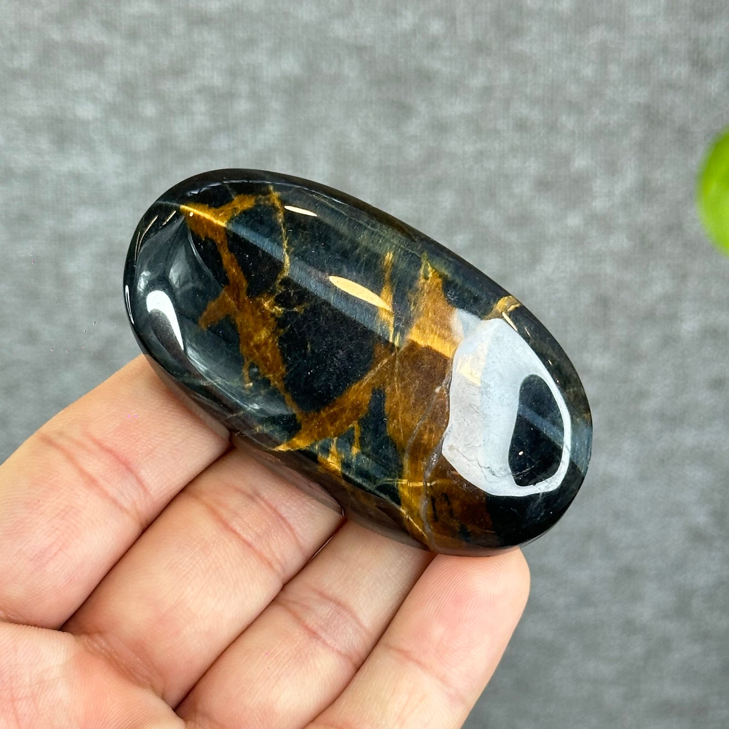 Natural Eagle Eye Palm Stone