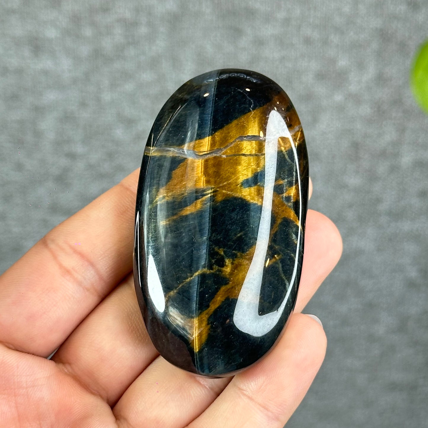 Natural Eagle Eye Palm Stone