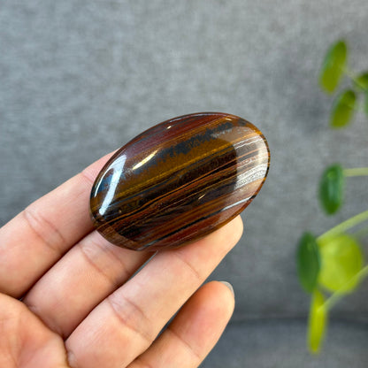 Red Titan Tiger Eye Palm Stone