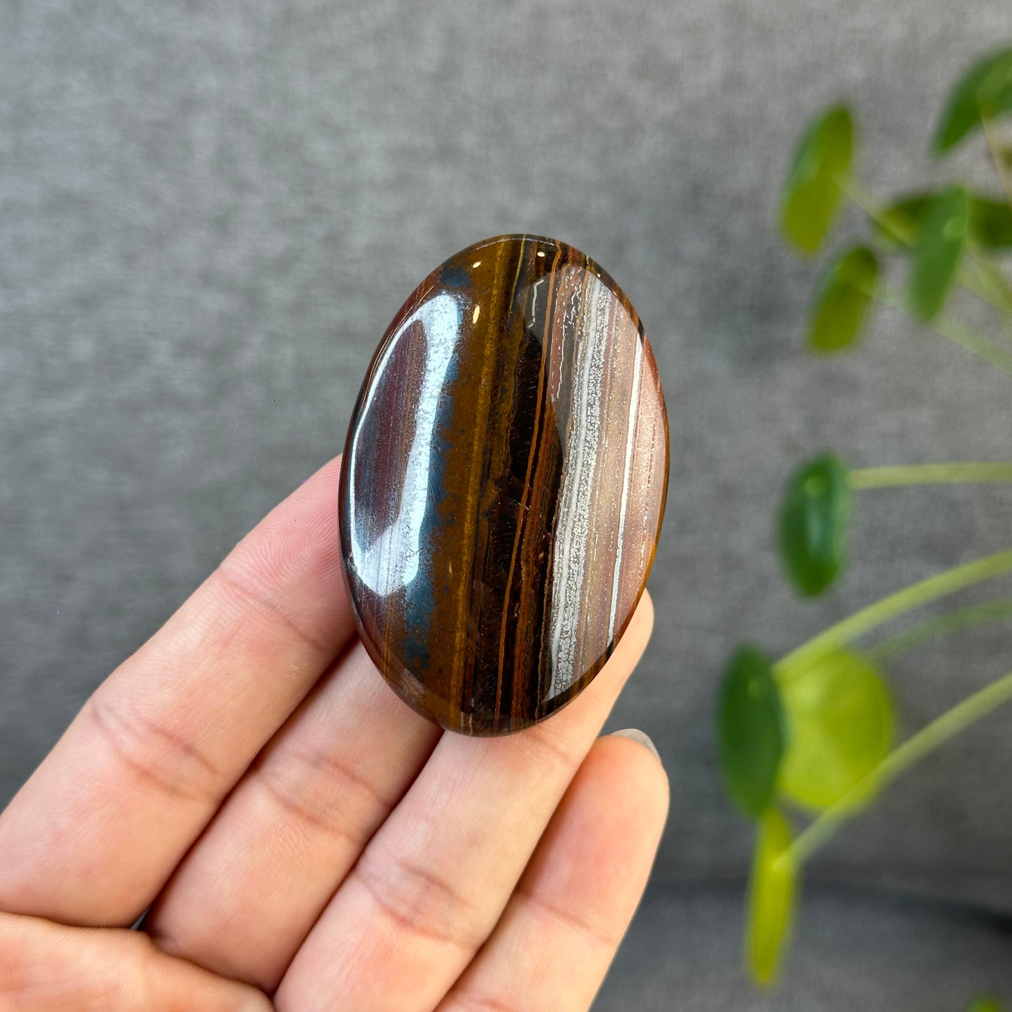 Red Titan Tiger Eye Palm Stone