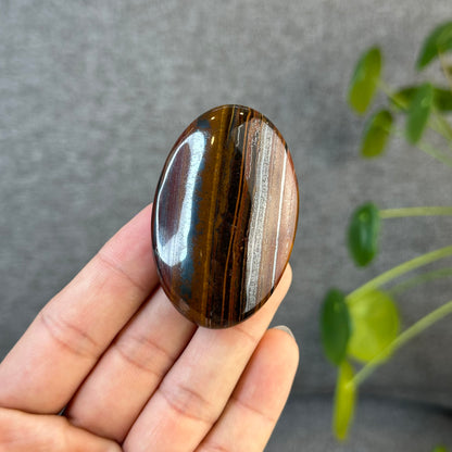 Red Titan Tiger Eye Palm Stone