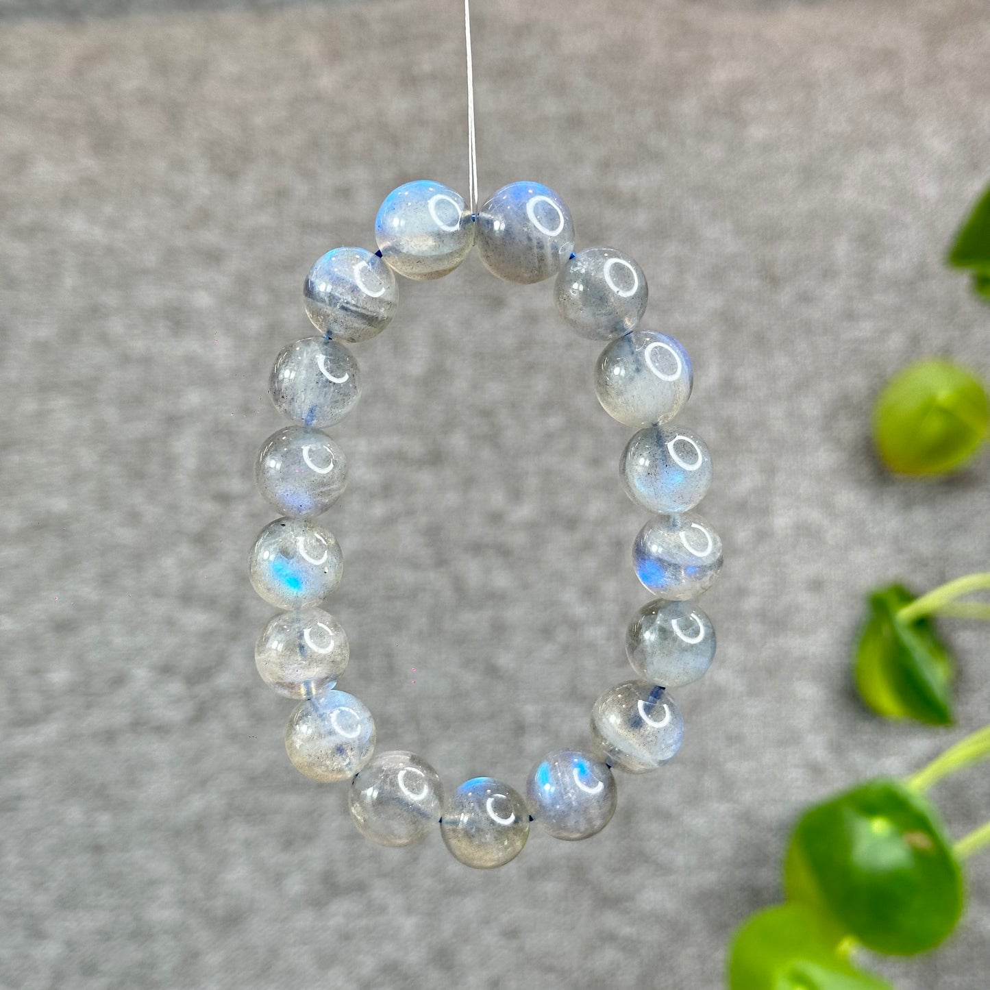 Natural Labradorite VIP Bracelet Size 12 mm