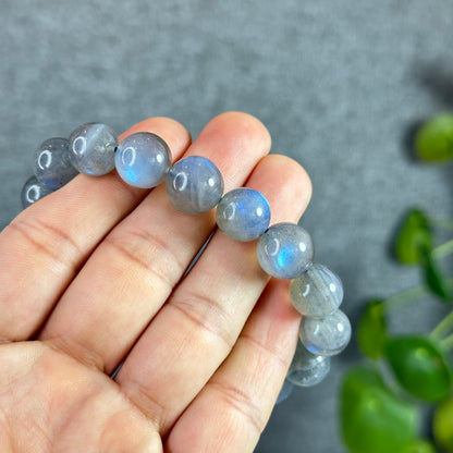 Natural Labradorite VIP Bracelet Size 12 mm