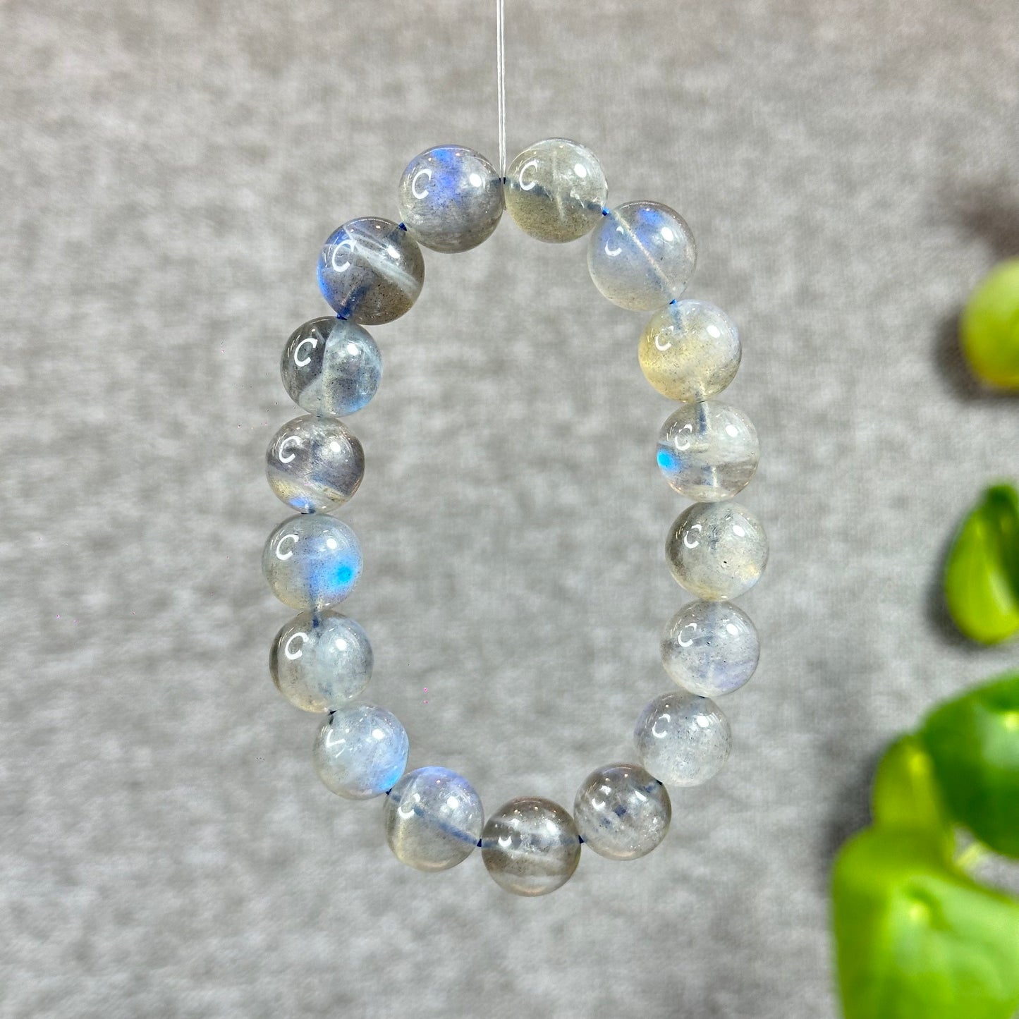 Natural Labradorite VIP Bracelet Size 12 mm