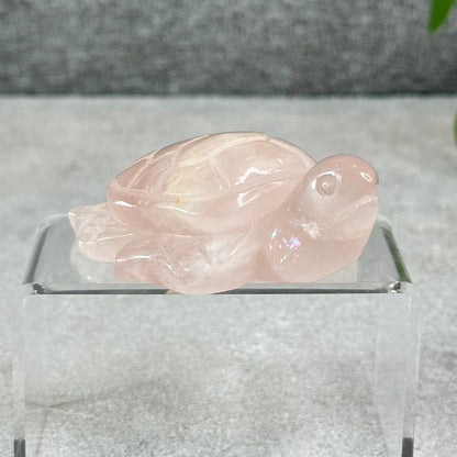 Natural Rose Quartz Turtle