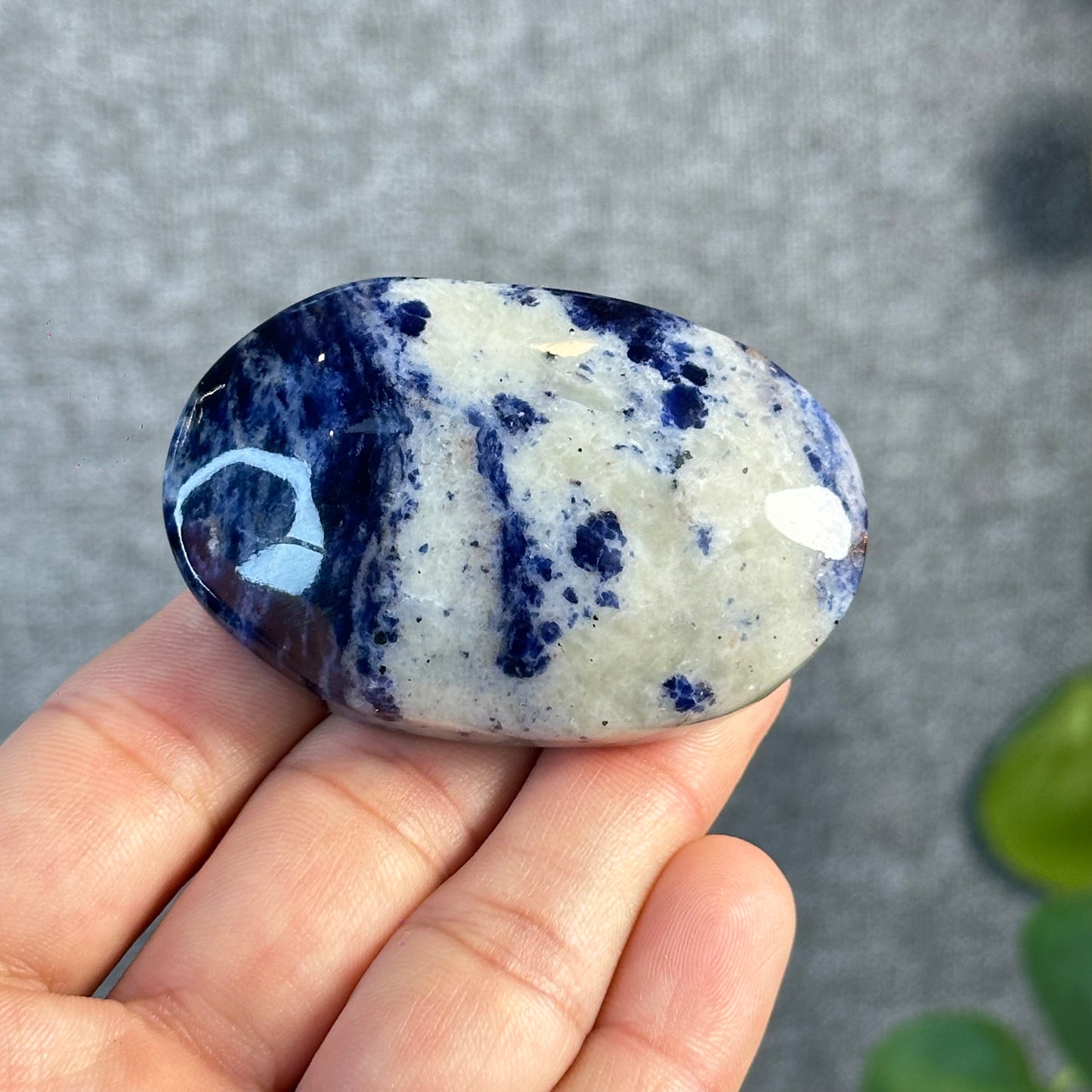 Blue Sodalite Palm Stone