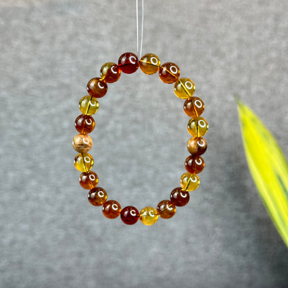 Natural Amber Bracelet Size 8.5 mm