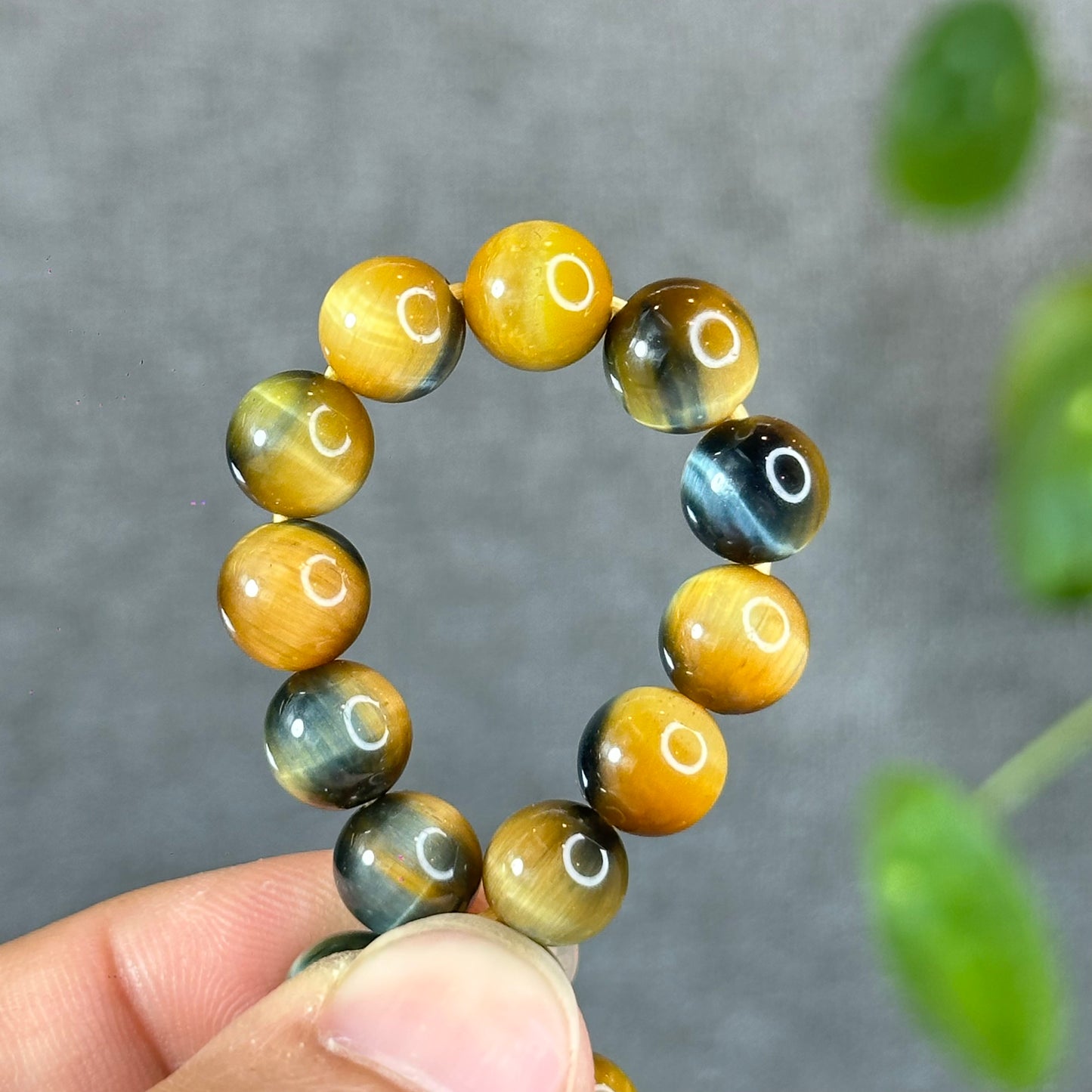 Natural Eagle Eye Bracelet Size 8 mm
