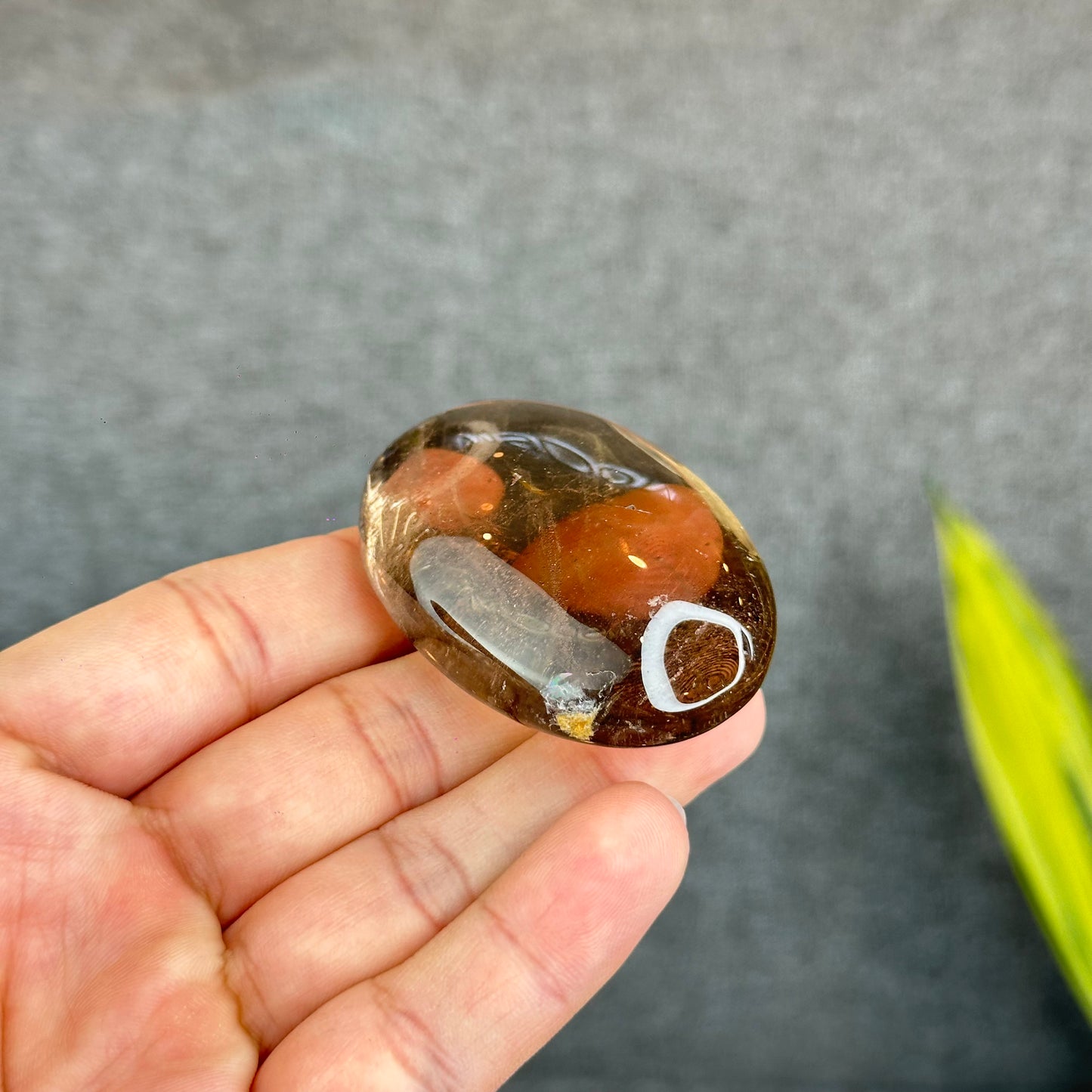 Natural Clear Smokey Quartz VIP Palm Stone