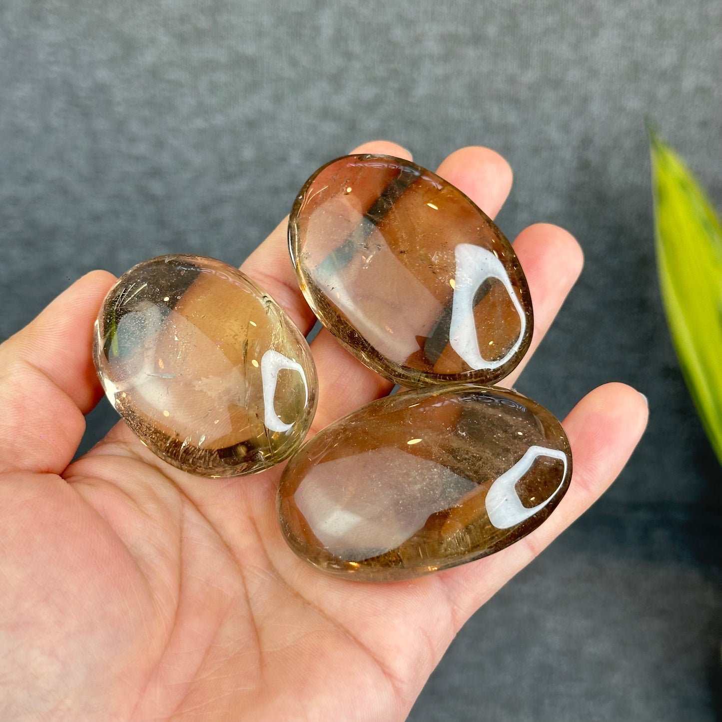 Natural Clear Smokey Quartz VIP Palm Stone