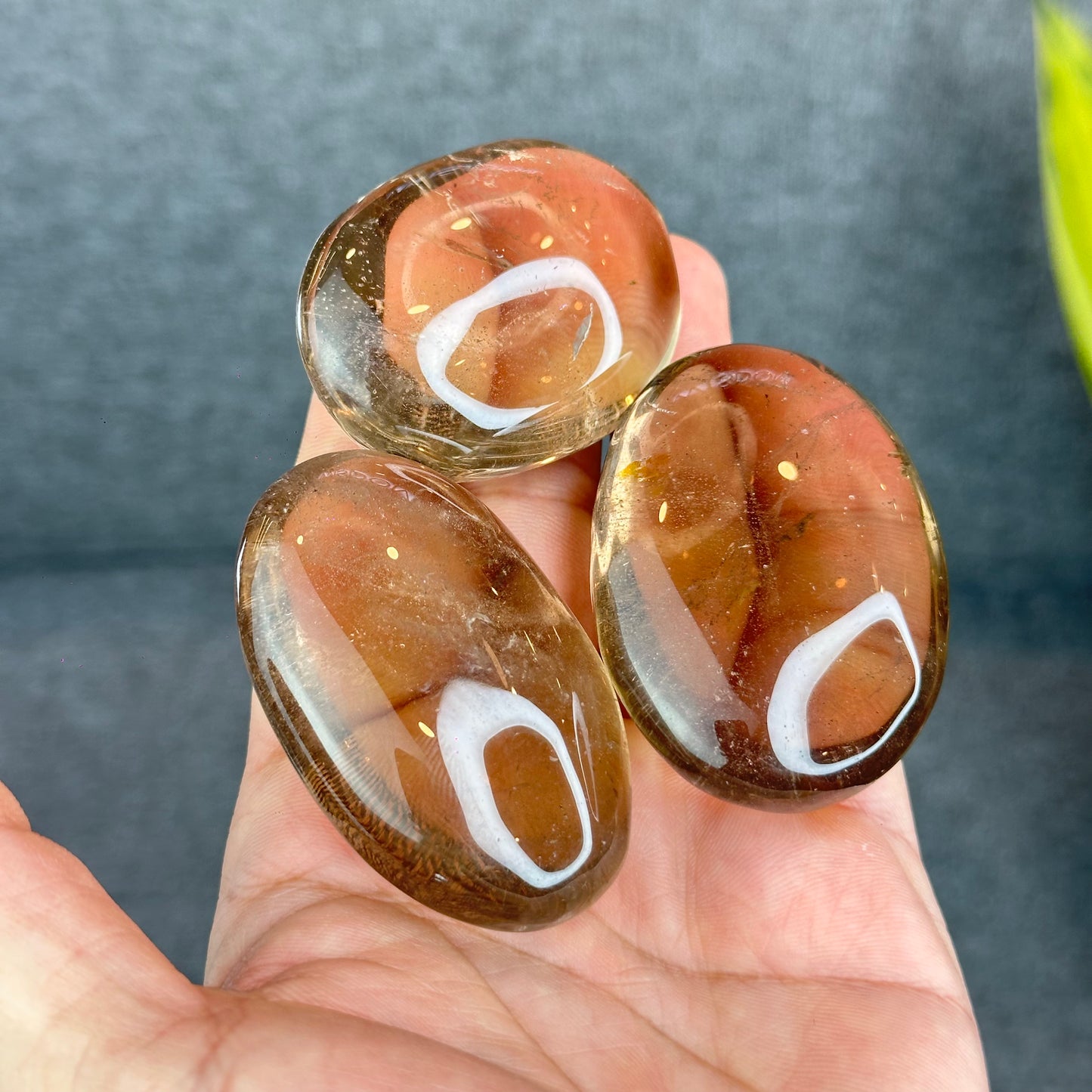 Natural Clear Smokey Quartz VIP Palm Stone
