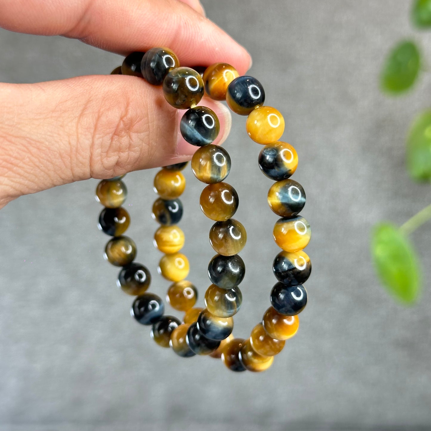 Natural Eagle Eye Bracelet Size 8 mm