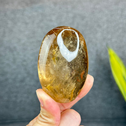 Natural Clear Smokey Quartz VIP Palm Stone