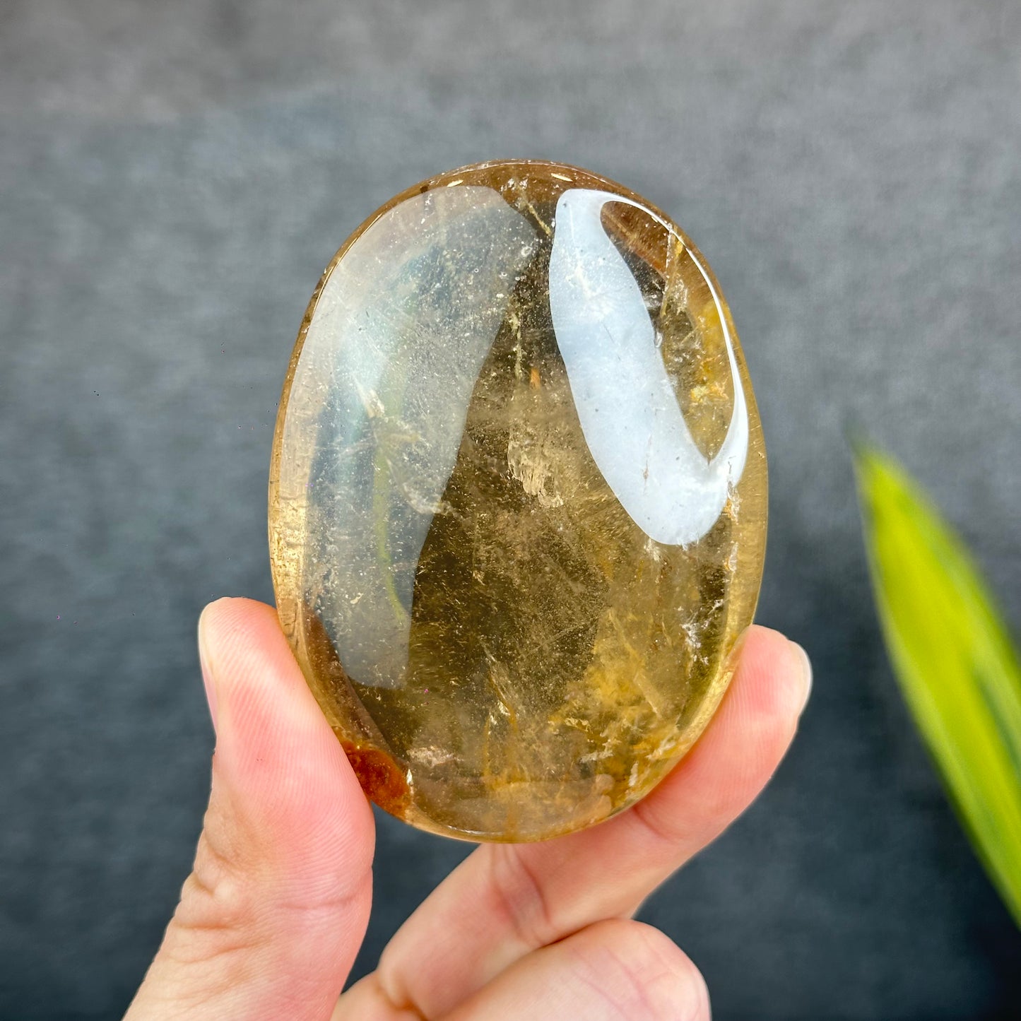 Natural Clear Smokey Quartz VIP Palm Stone