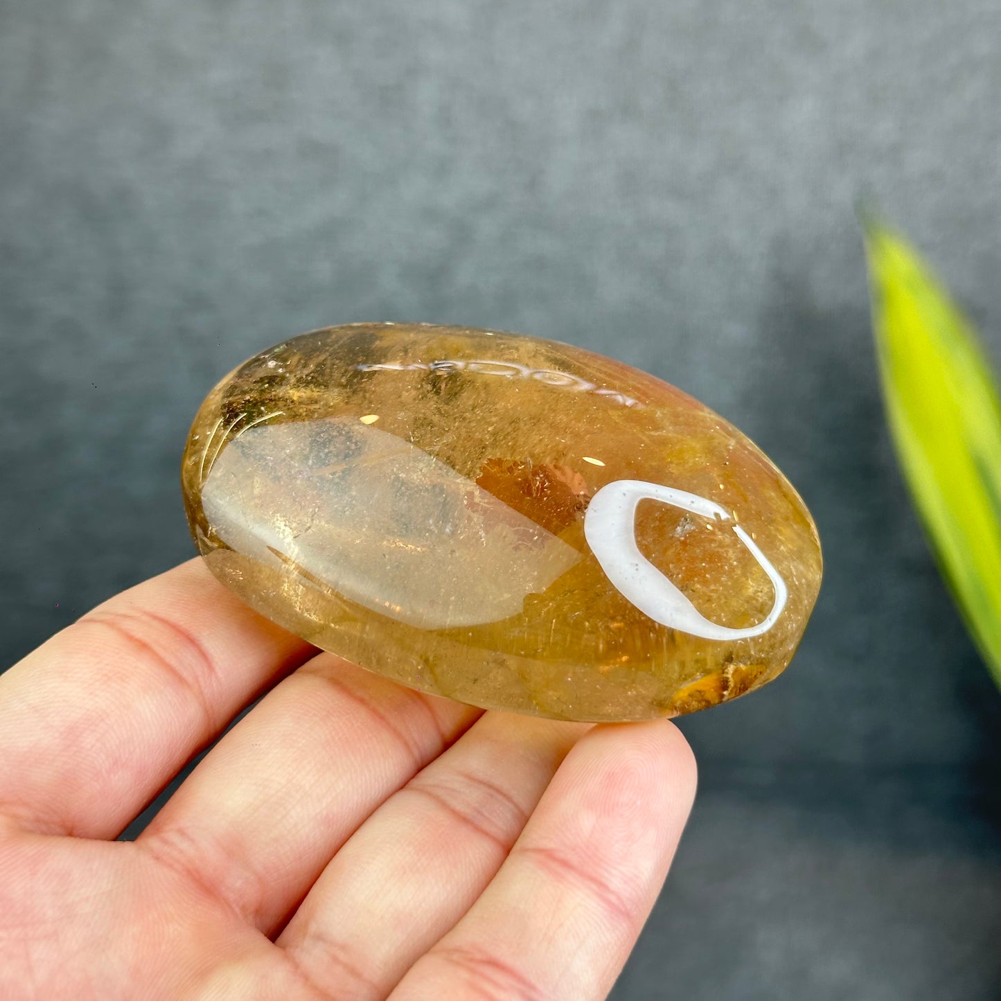 Natural Clear Smokey Quartz VIP Palm Stone