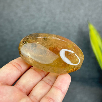 Natural Clear Smokey Quartz VIP Palm Stone