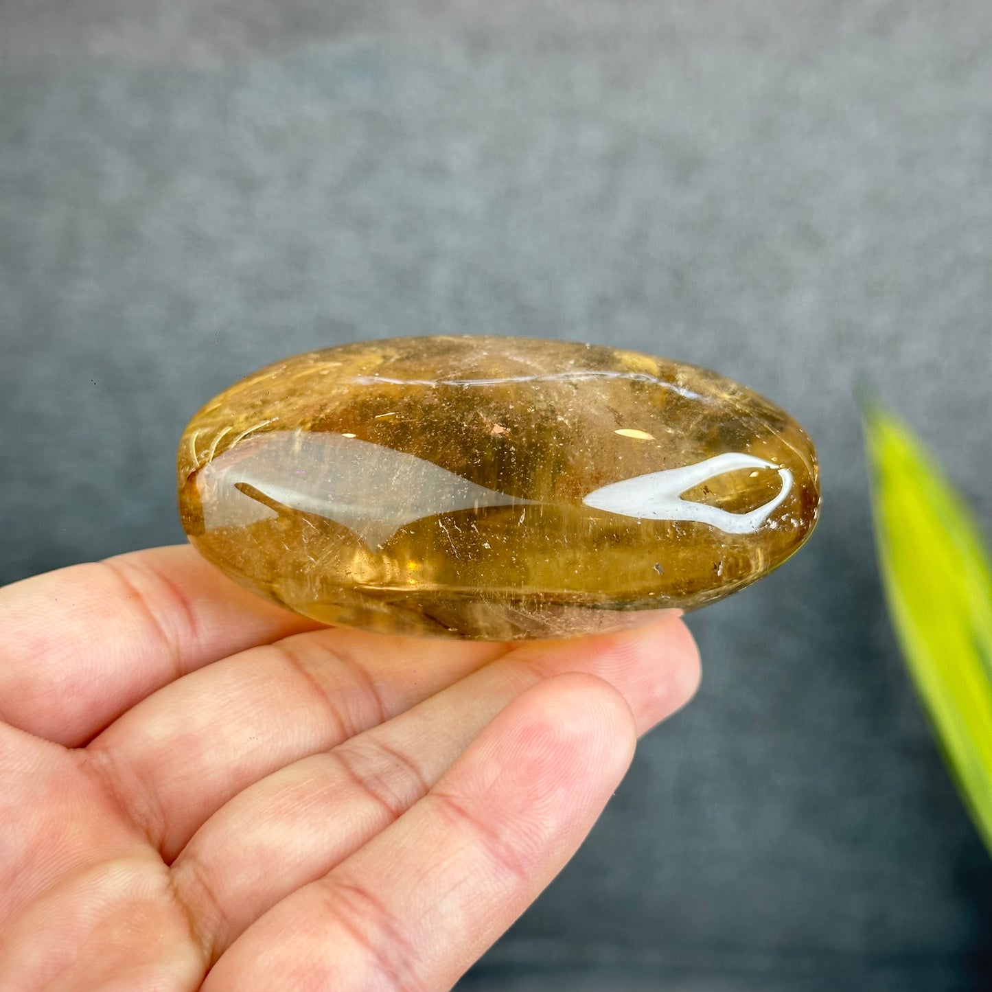 Natural Clear Smokey Quartz VIP Palm Stone