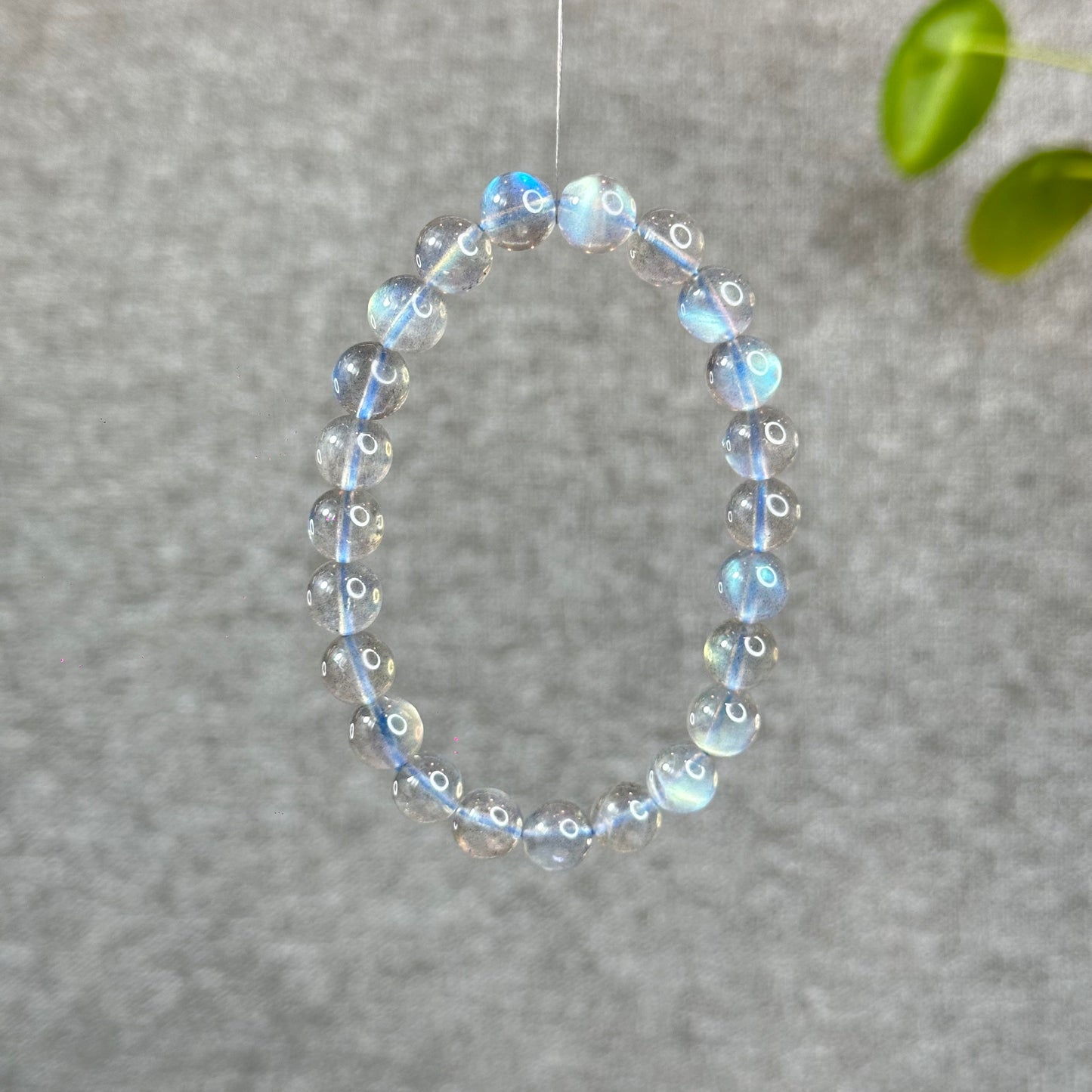 Natural Translucent Labradorite Bracelet Size 9