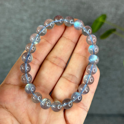 Natural Translucent Labradorite Bracelet Size 9