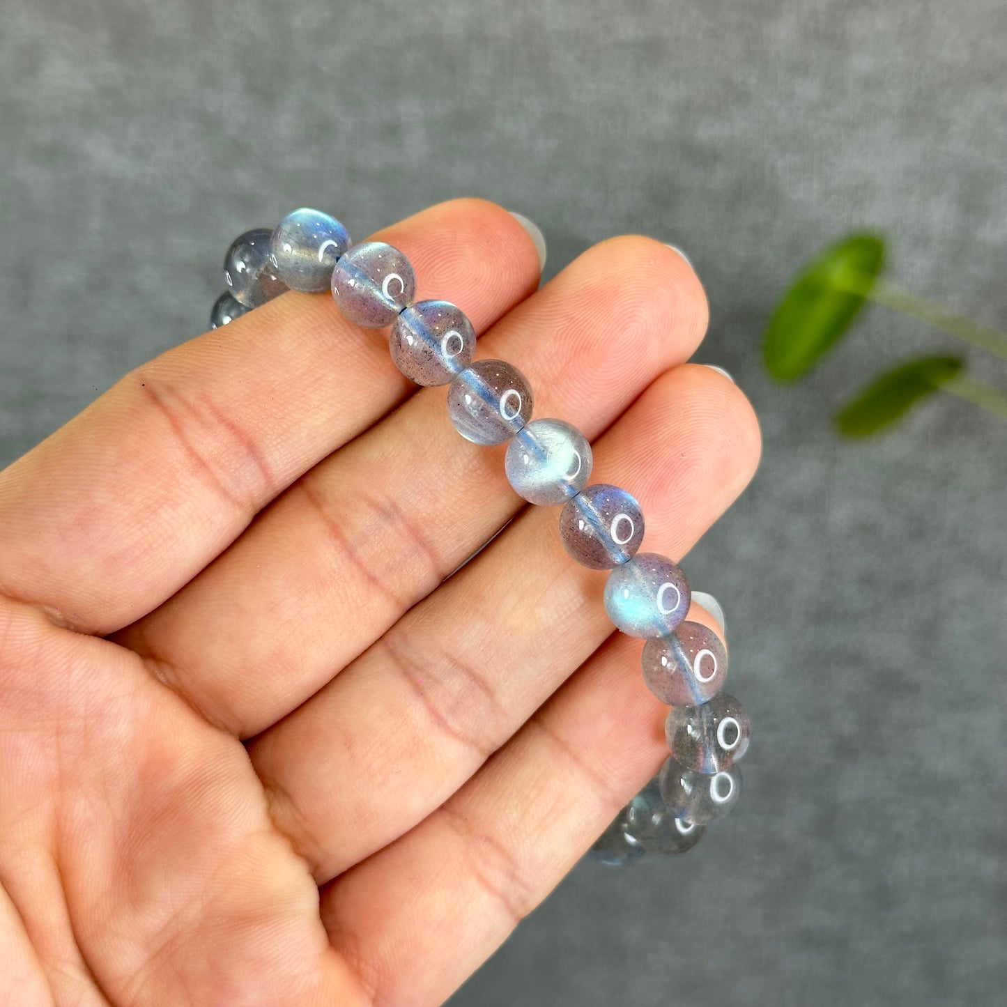 Natural Translucent Labradorite Bracelet Size 9