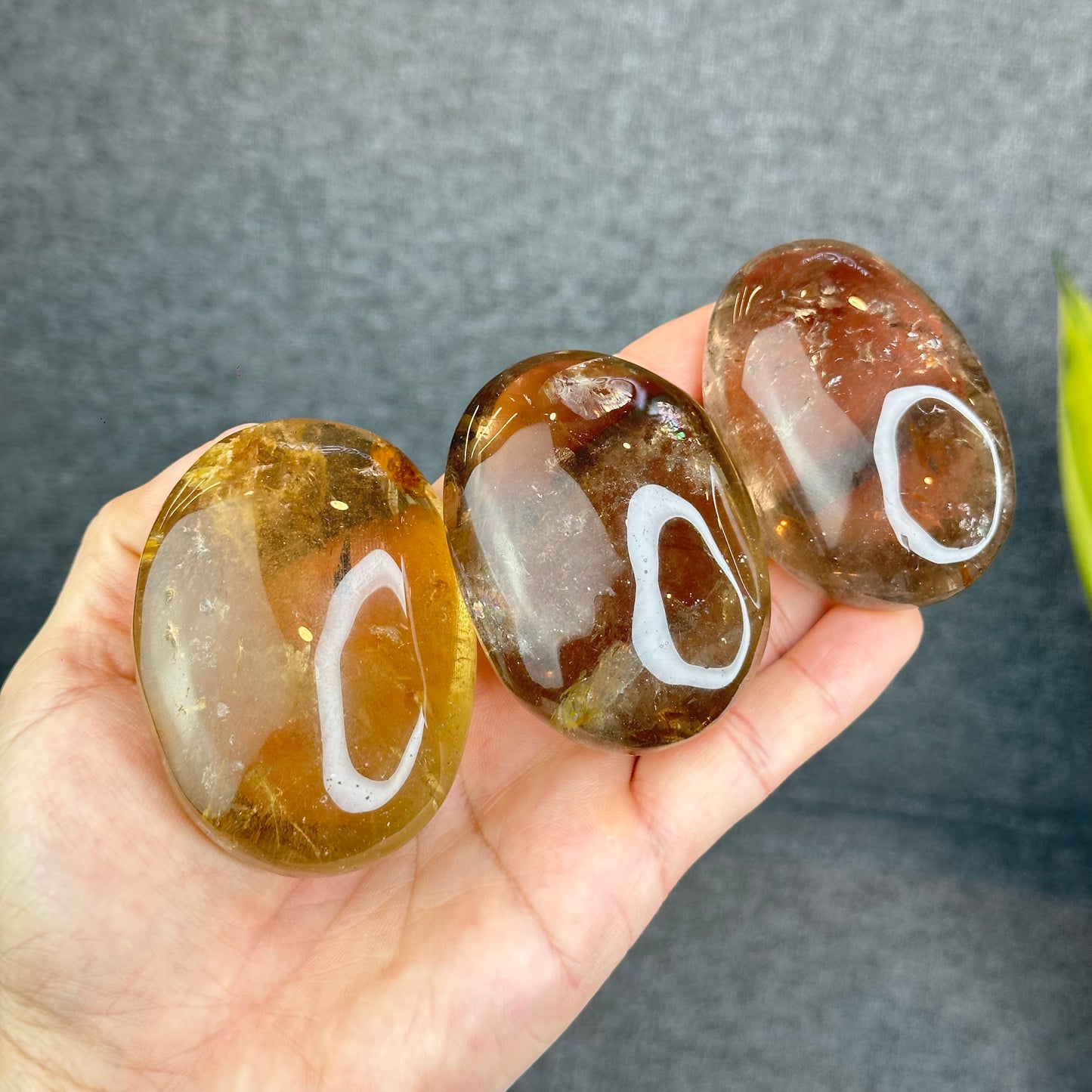 Natural Clear Smokey Quartz VIP Palm Stone