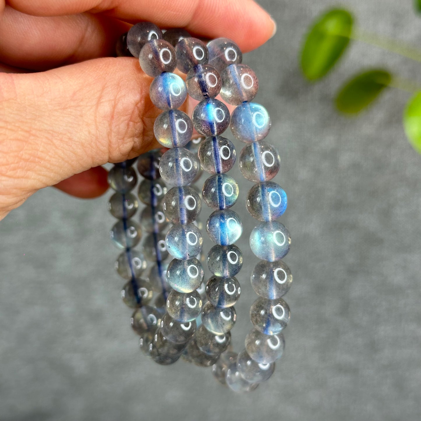 Natural Translucent Labradorite Bracelet Size 7.5