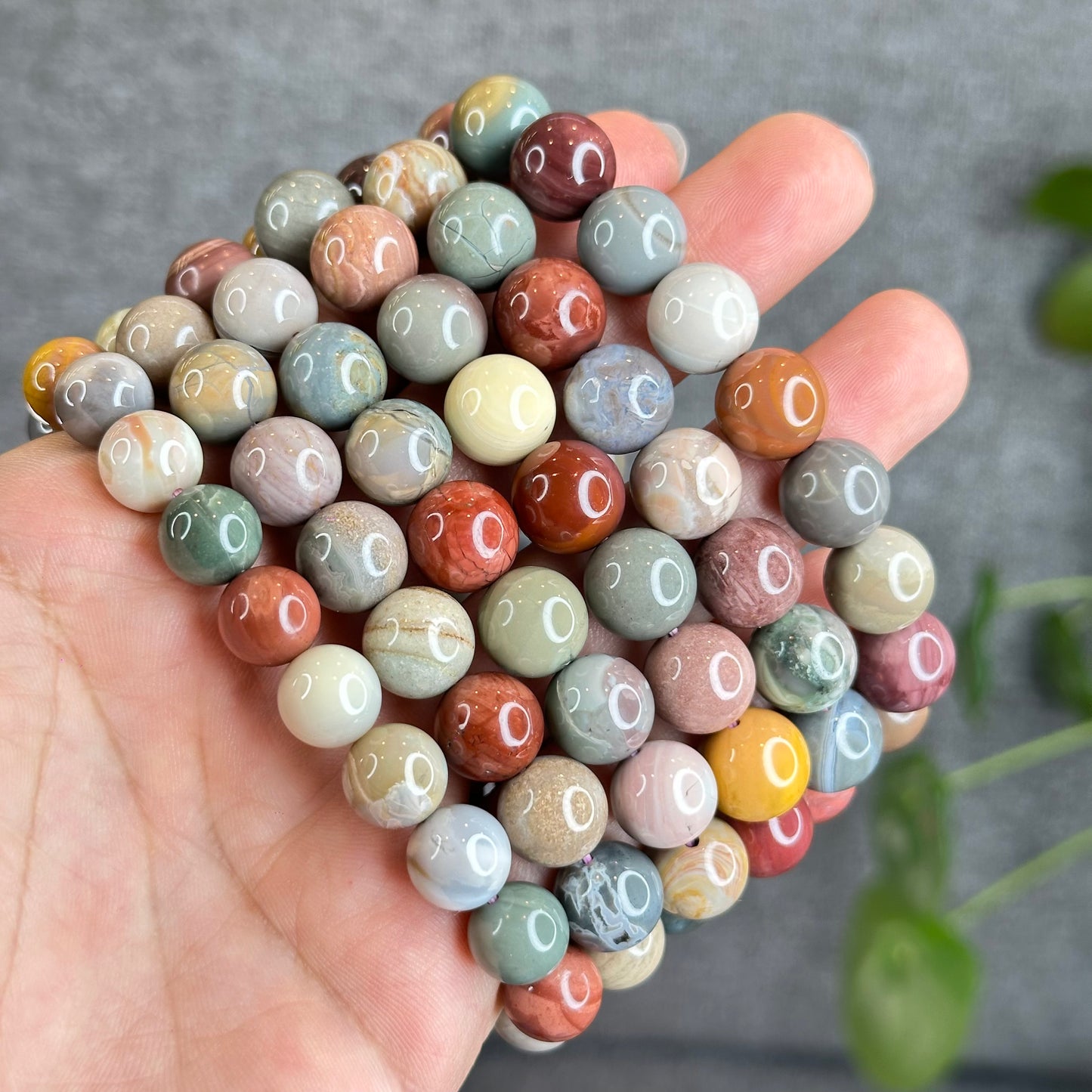 Multi Colour Natural Alashan Agate Bracelet Size 11.5 mm