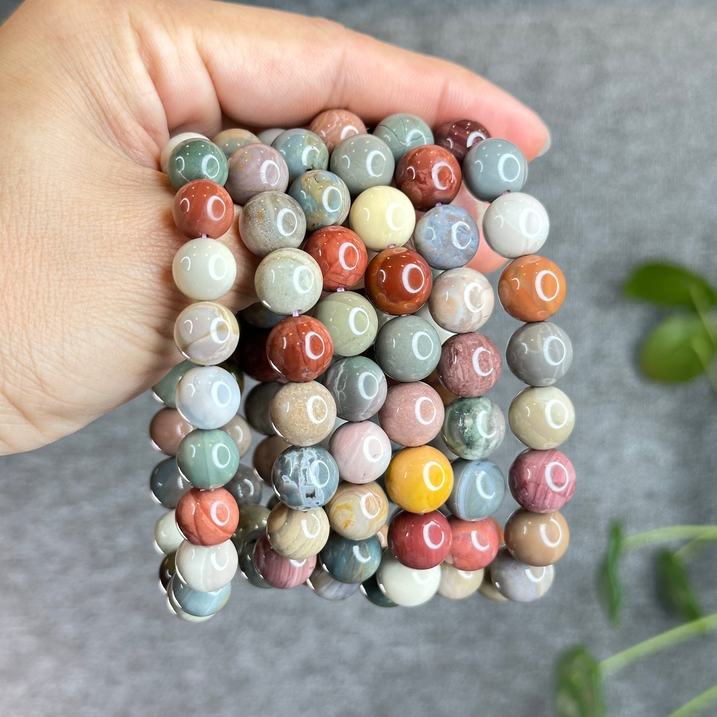Multi Colour Natural Alashan Agate Bracelet Size 11.5 mm