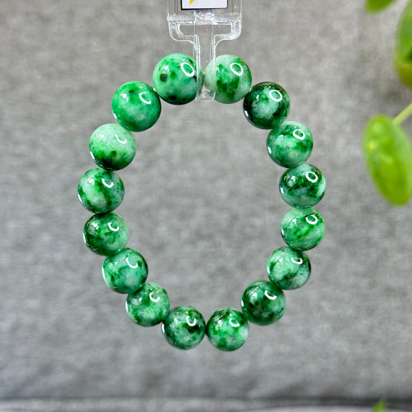 Natural Bright Apple Green Son Thuy Jadeite Jade VIP Bracelet Size 13 mm