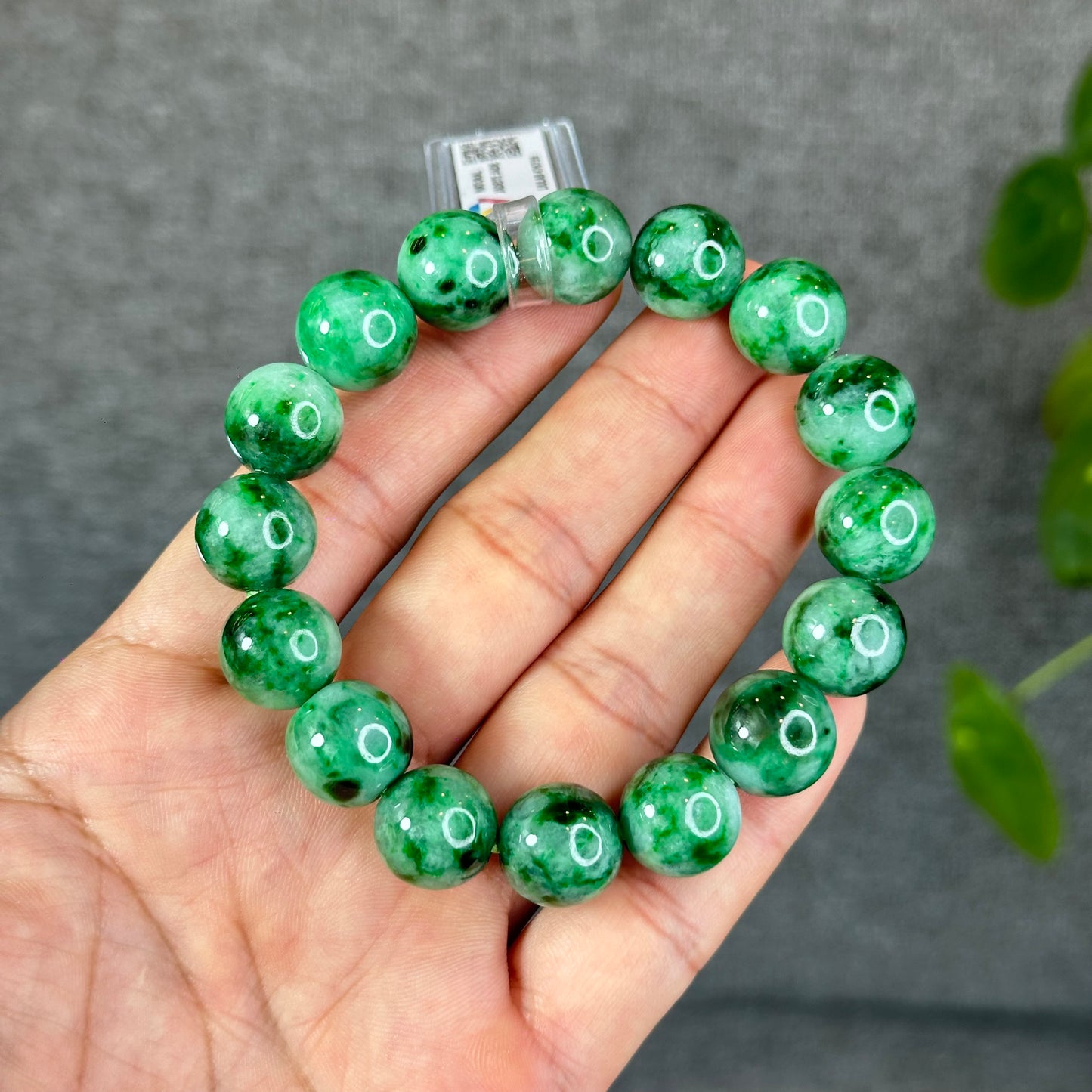 Natural Bright Apple Green Son Thuy Jadeite Jade VIP Bracelet Size 13 mm