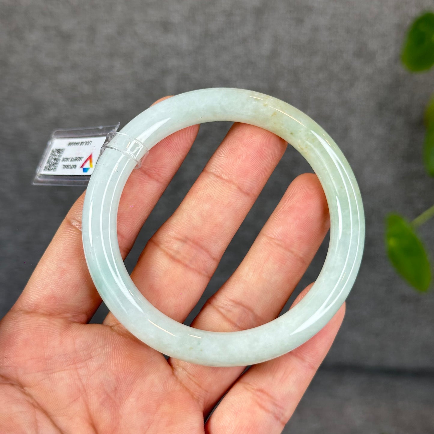 Natural Light Mint Green with Touch of Orange Semi-Translucent Jadeite Jade Banlge Chopstick Style Size 56 mm