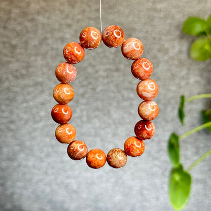 Natural Coral Fossil Bracelet Size 12.8 mm
