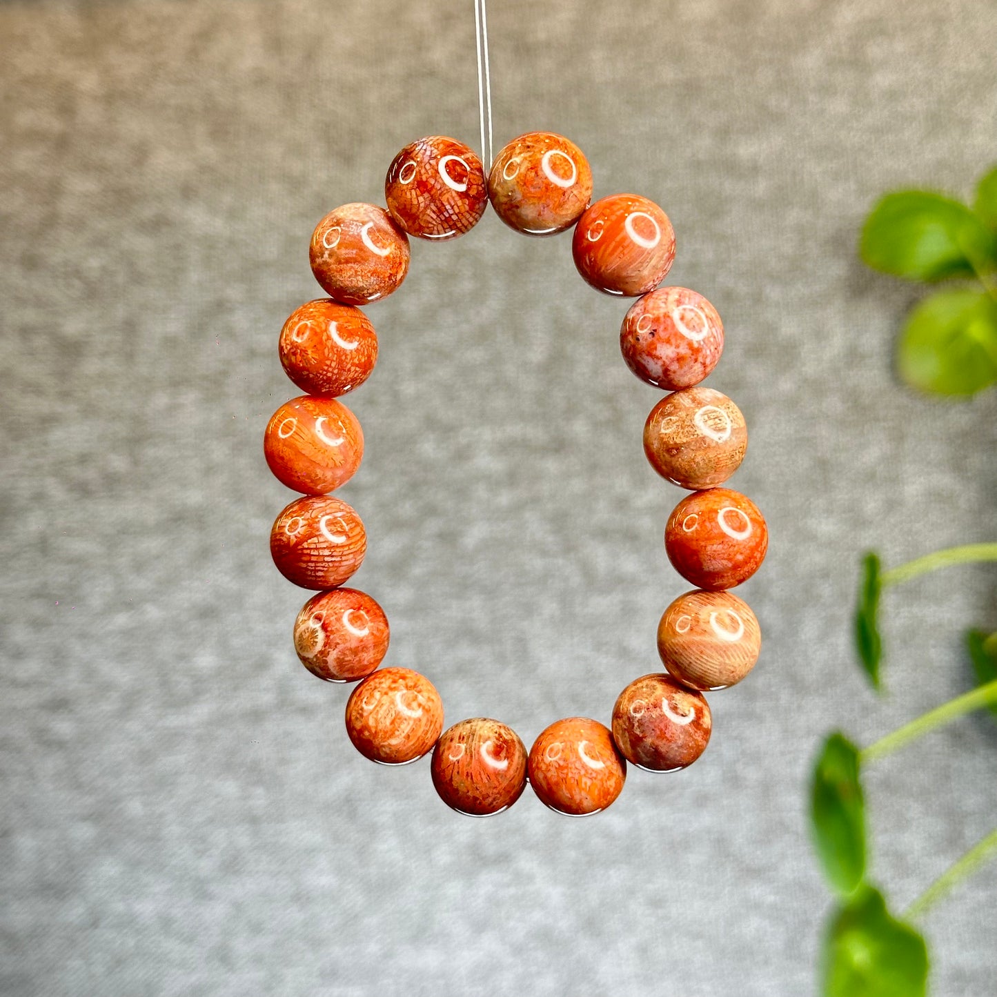 Natural Coral Fossil Bracelet Size 12.8 mm