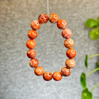 Natural Coral Fossil Bracelet Size 12.8 mm