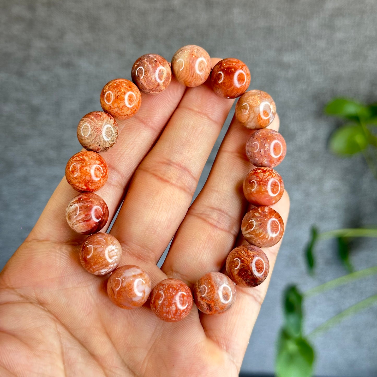 Natural Coral Fossil Bracelet Size 12.8 mm