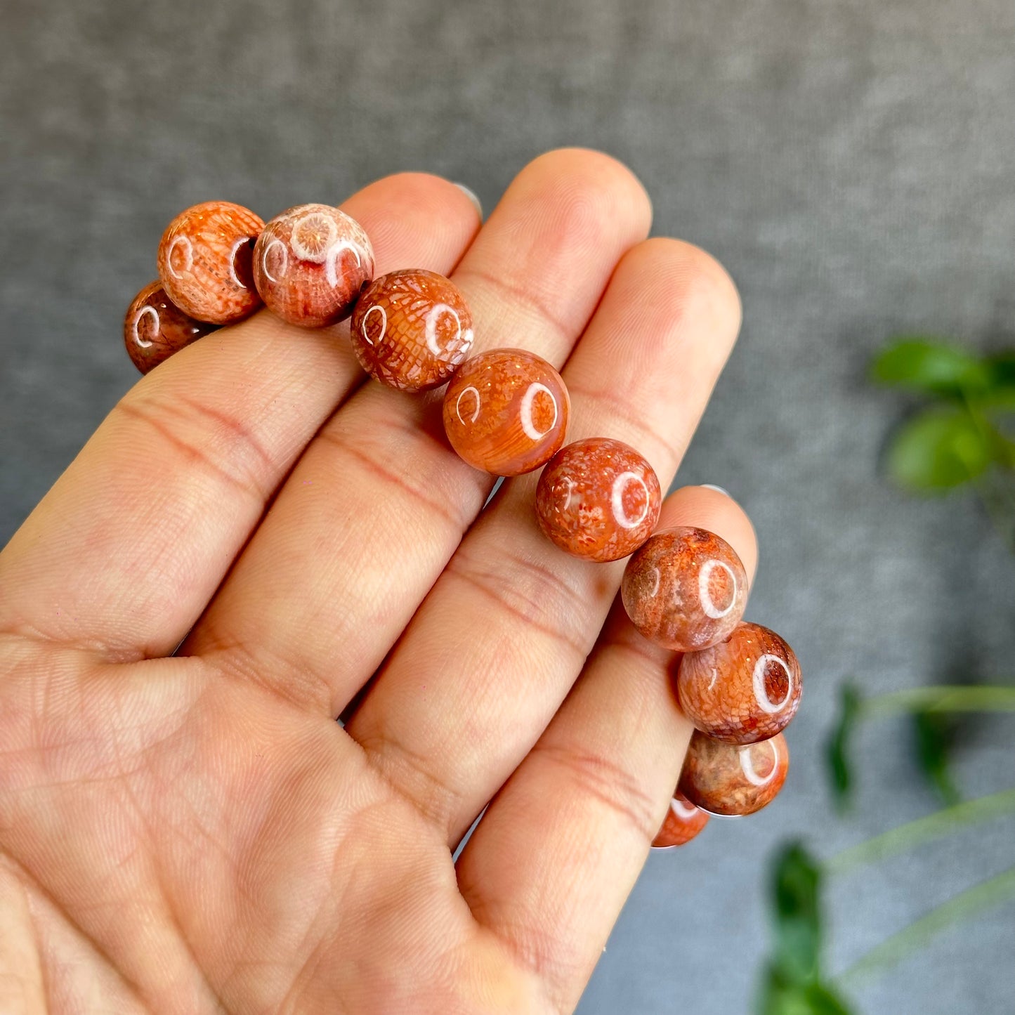 Natural Coral Fossil Bracelet Size 12.8 mm