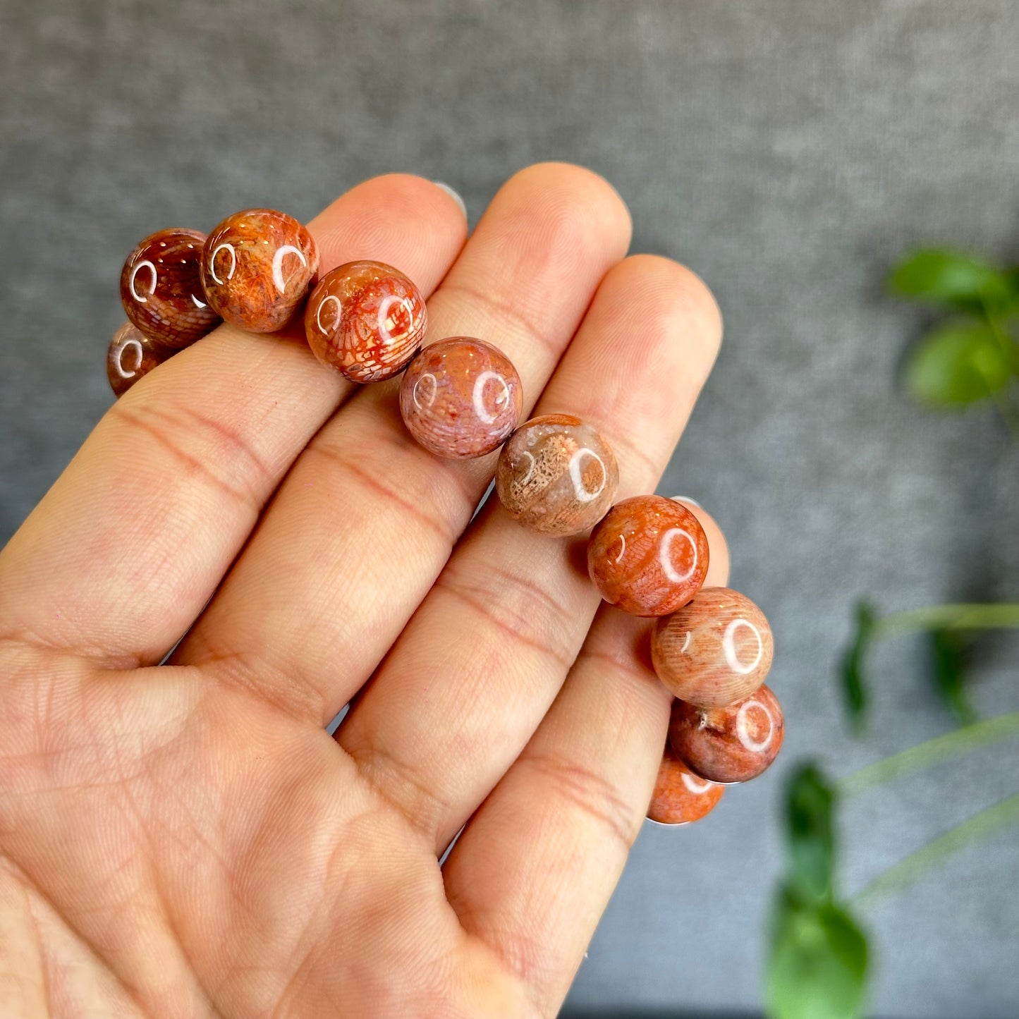 Natural Coral Fossil Bracelet Size 12.8 mm