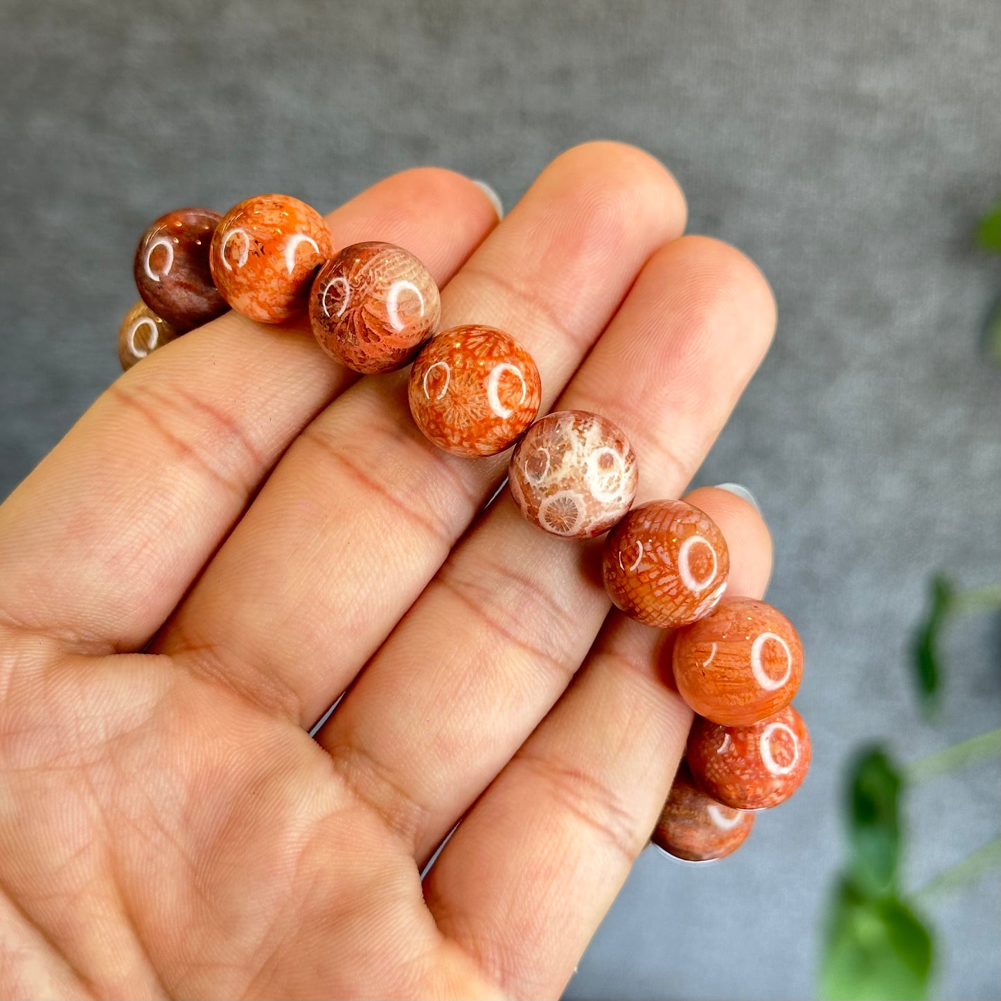Natural Coral Fossil Bracelet Size 12.8 mm