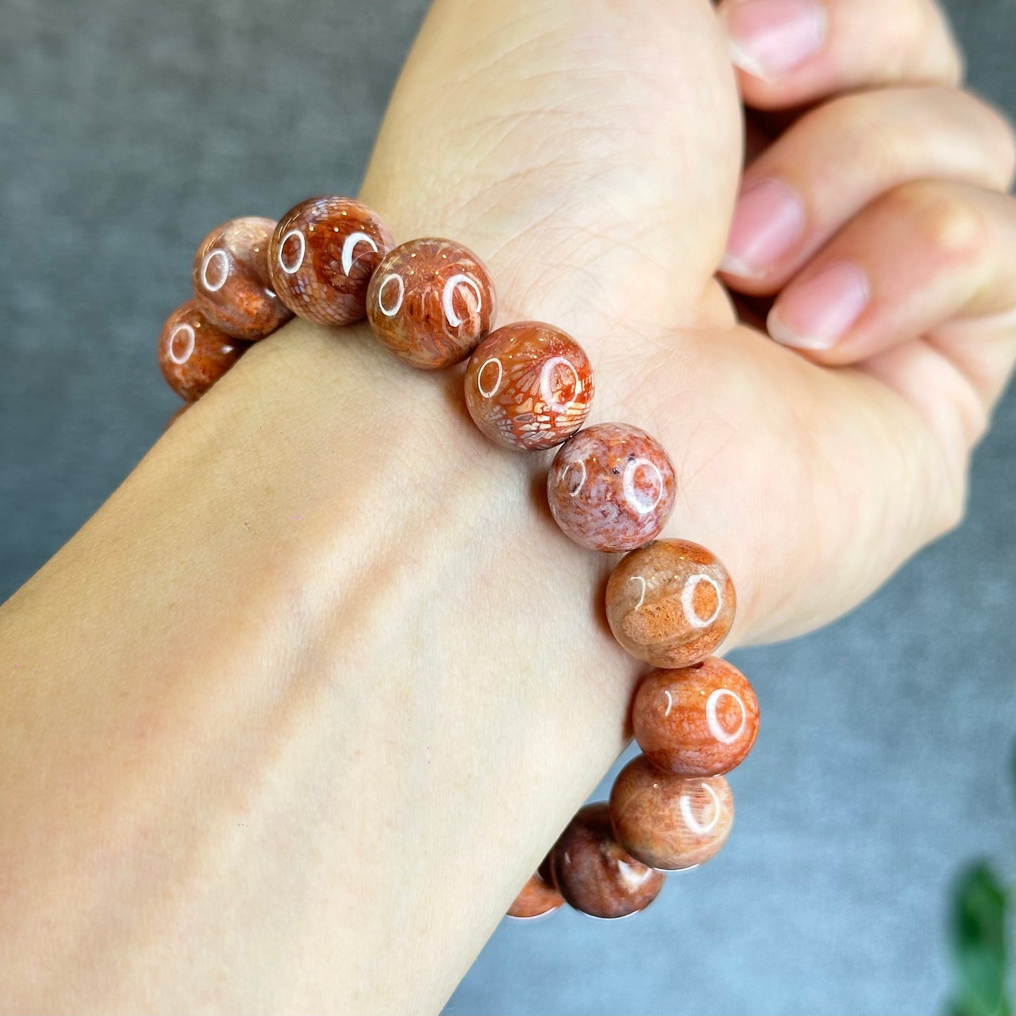 Natural Coral Fossil Bracelet Size 12.8 mm