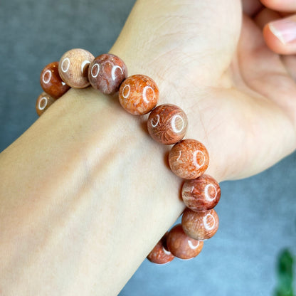 Natural Coral Fossil Bracelet Size 12.8 mm